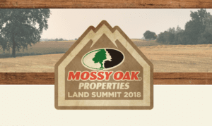 mossy oak land summit