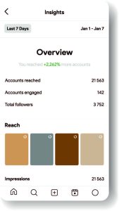 Master-Instagram-Insights-Overview